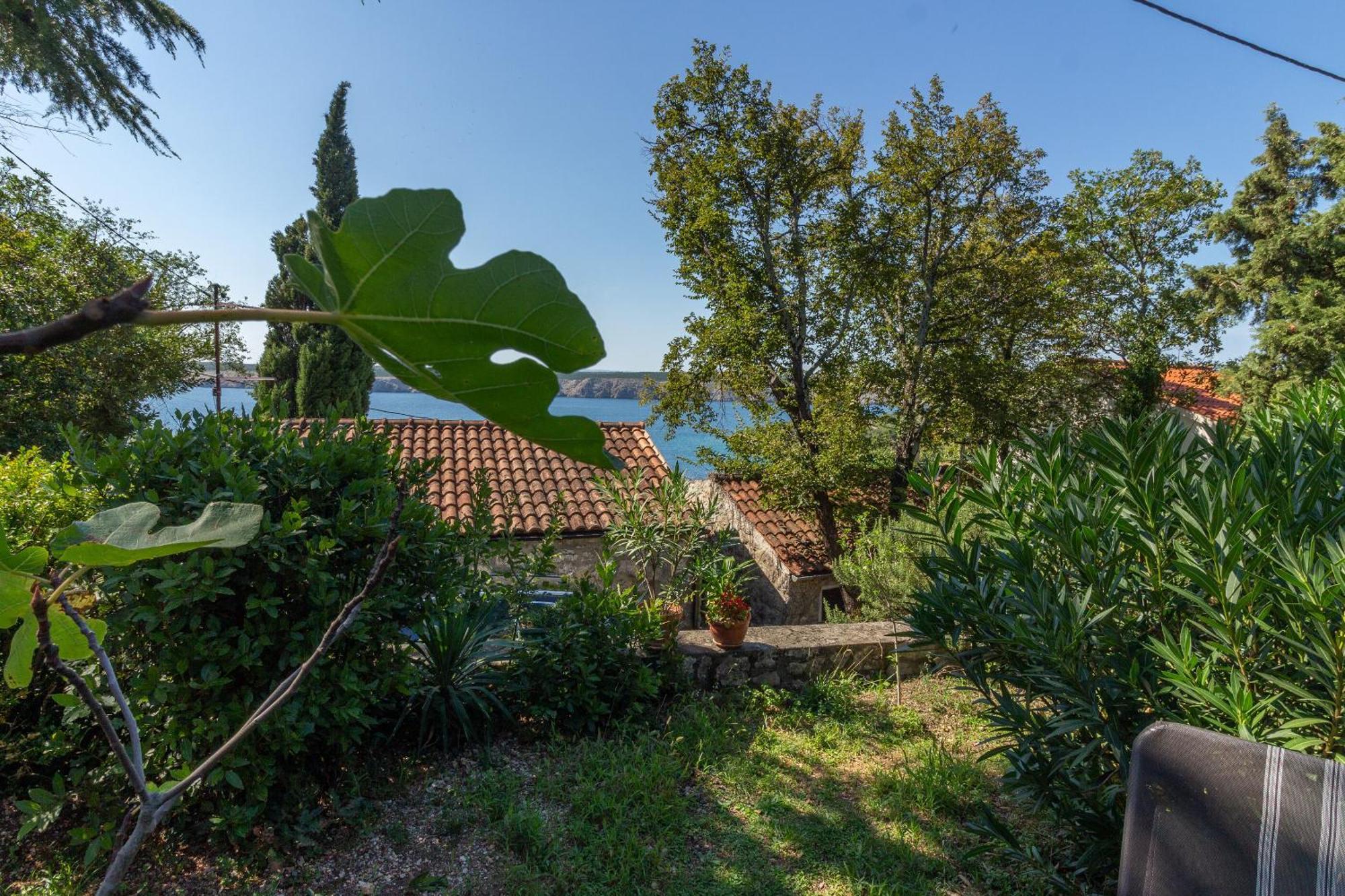 Apartment Seneca Jadranovo Kültér fotó
